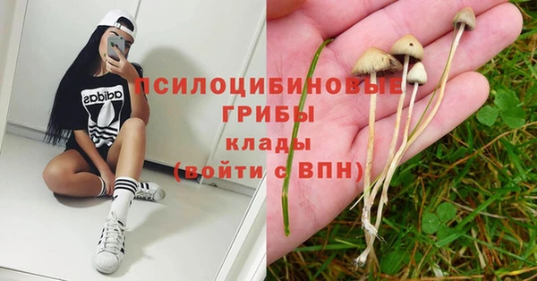 прущий лед Арсеньев