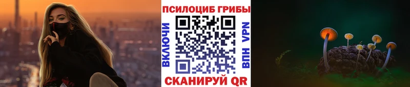 Псилоцибиновые грибы MAGIC MUSHROOMS  Купить  Ковров 